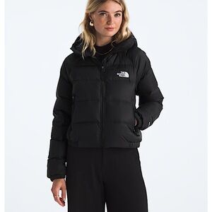 North Face Hydrenalite Down Puffer Hoodie